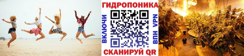 Шишки марихуана семена Холмск